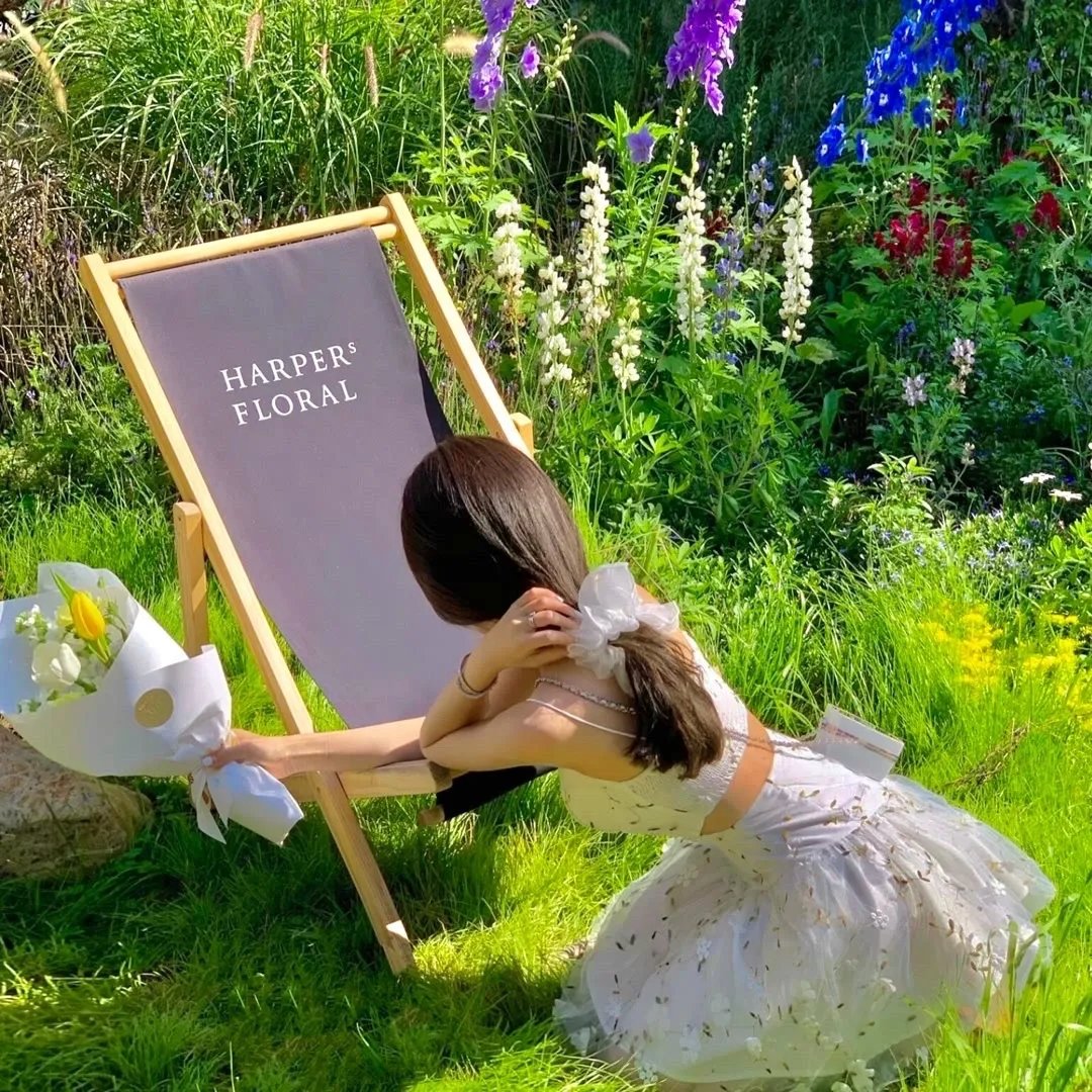 升起月光